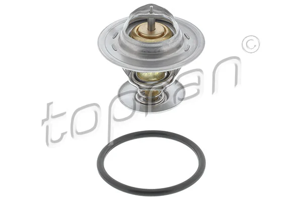 Thermostat, coolant