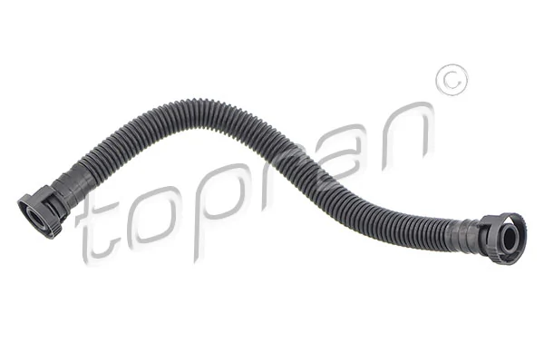 Hose, cylinder head cover ventilation
