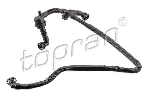 Hose, cylinder head cover ventilation