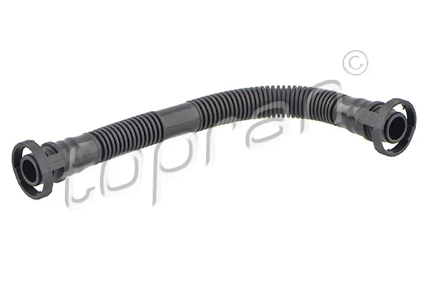 Hose, cylinder head cover ventilation