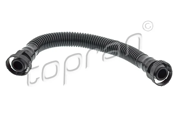 Hose, cylinder head cover ventilation