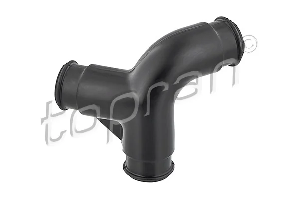 Hose, cylinder head cover ventilation