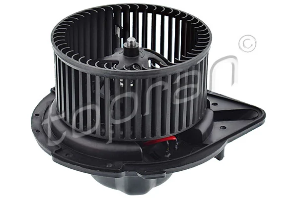 Interior Blower