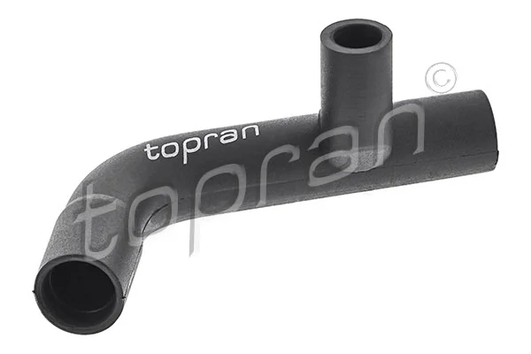 Hose, cylinder head cover ventilation