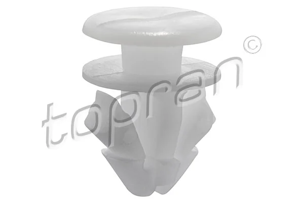 Clip, trim/protection strip