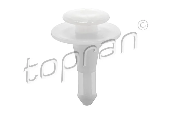 Clip, trim/protection strip
