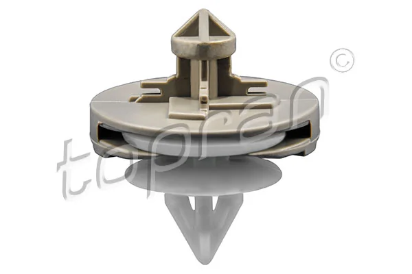 Retaining Clip, door panel