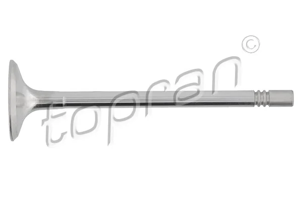 Intake Valve
