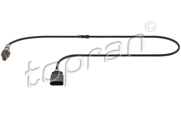 Oxygen Sensor