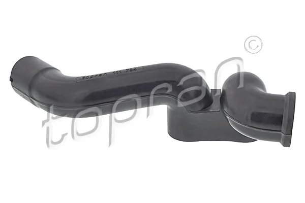 Hose, cylinder head cover ventilation