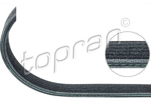V-ribbed Belt
