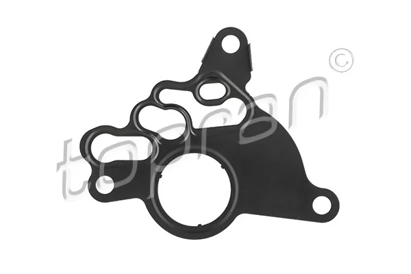 Gasket, vacuum pump