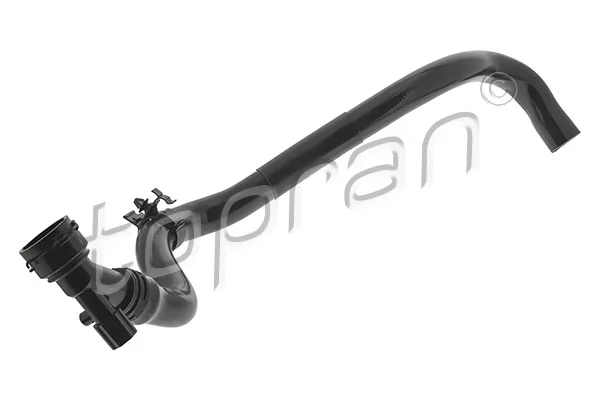 Radiator Hose