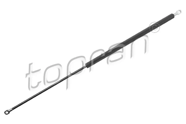 Gas Spring, bonnet