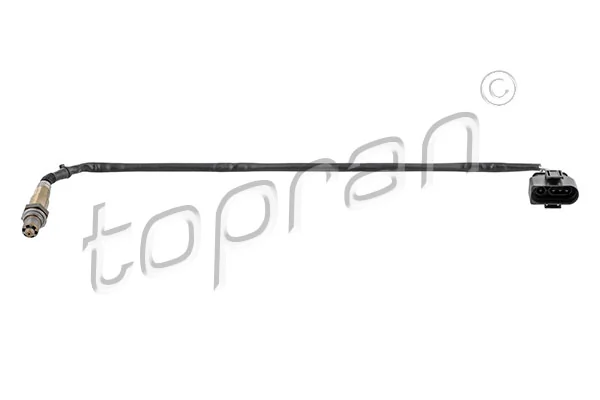 Oxygen Sensor