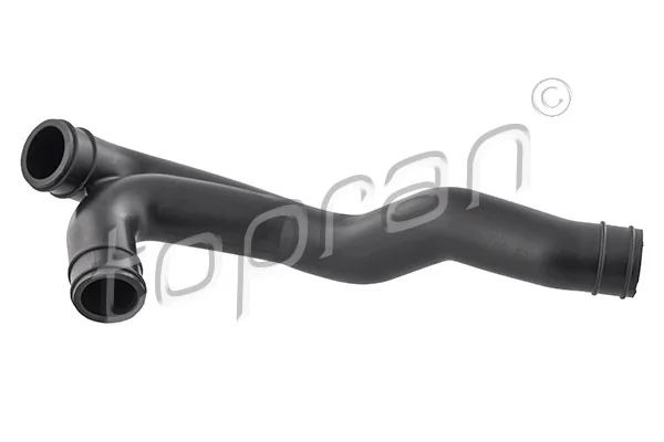 Hose, cylinder head cover ventilation