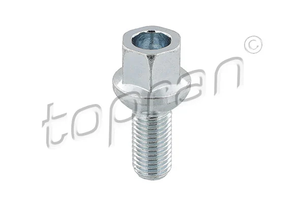 Wheel Bolt