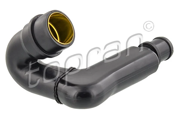 Hose, cylinder head cover ventilation