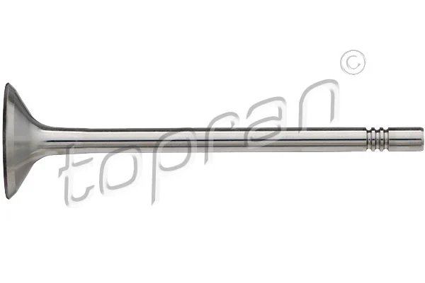 Intake Valve