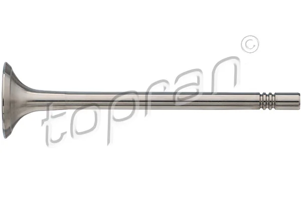 Exhaust Valve