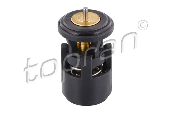 Thermostat, coolant