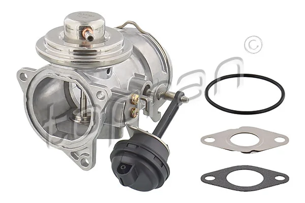 EGR Valve