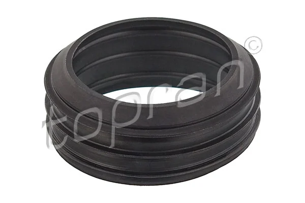 Gasket, intake manifold