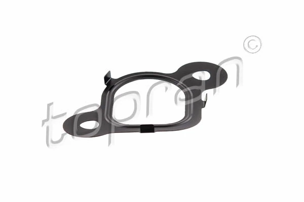 Gasket, intake manifold
