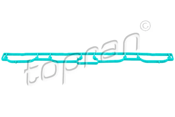 Gasket, intake manifold
