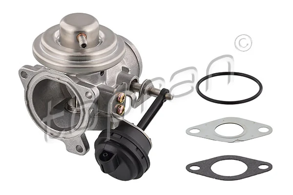 EGR Valve