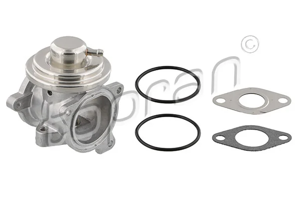 EGR Valve