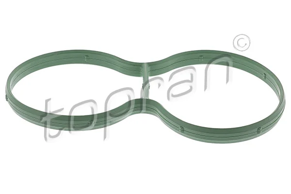 Gasket, intake manifold