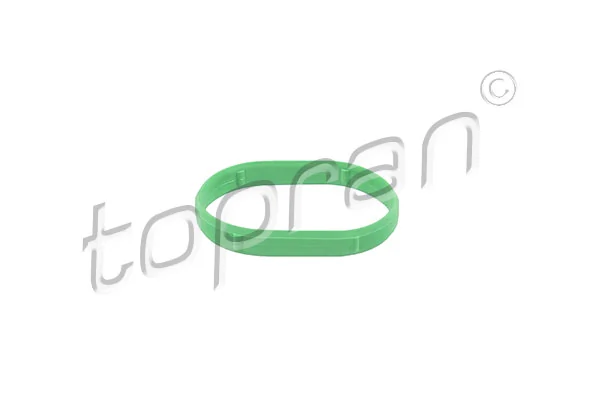 Gasket, intake manifold