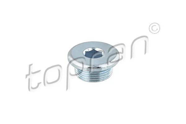 Screw Plug, oil sump