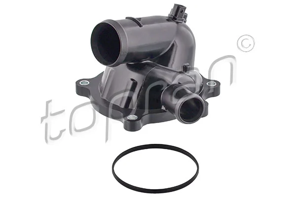 Thermostat, coolant