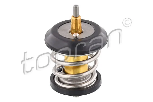 Thermostat, coolant