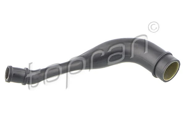 Hose, cylinder head cover ventilation