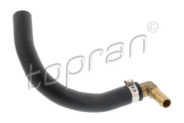 Hose, cylinder head cover ventilation