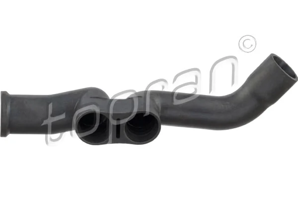Hose, cylinder head cover ventilation