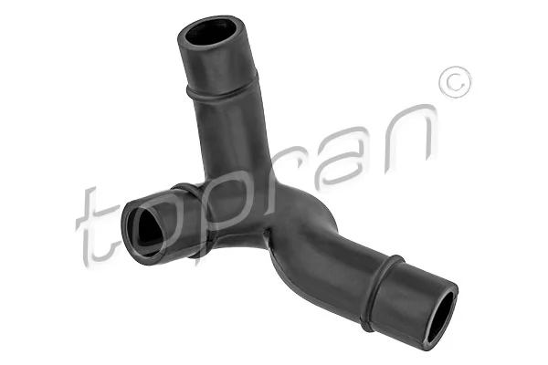 Hose, cylinder head cover ventilation