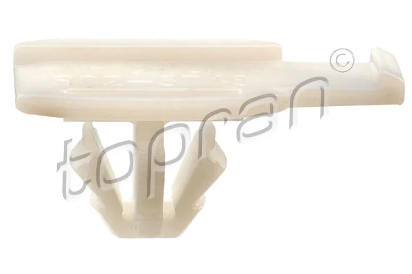 Clip, trim/protection strip