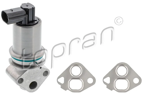 EGR Valve