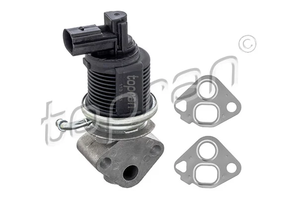 EGR Valve