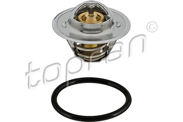Thermostat, coolant
