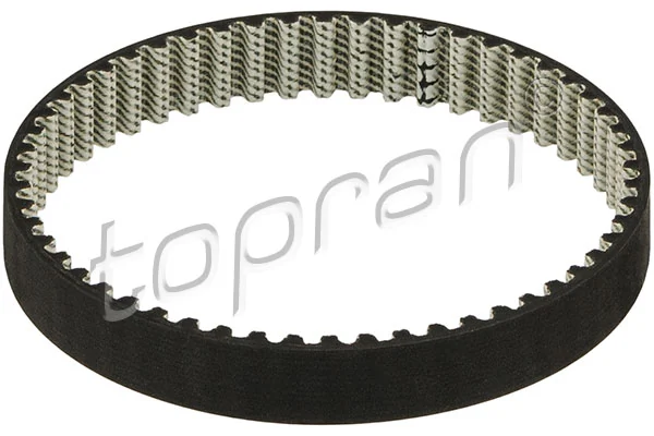 Timing Belt