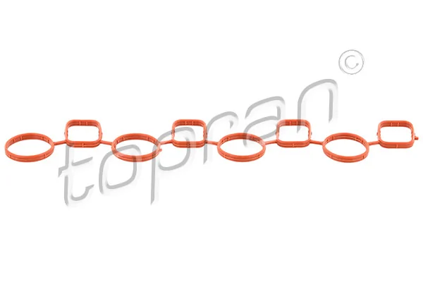 Gasket, intake manifold