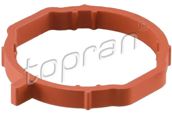 Gasket, intake manifold