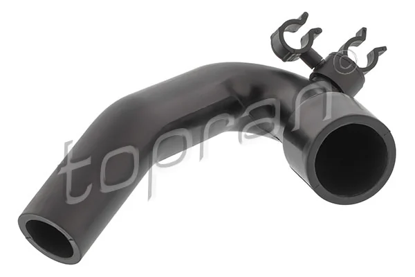Hose, cylinder head cover ventilation