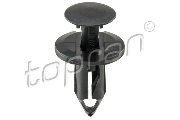 Expanding Rivet