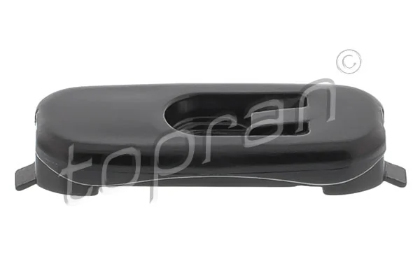 Clip, trim/protection strip